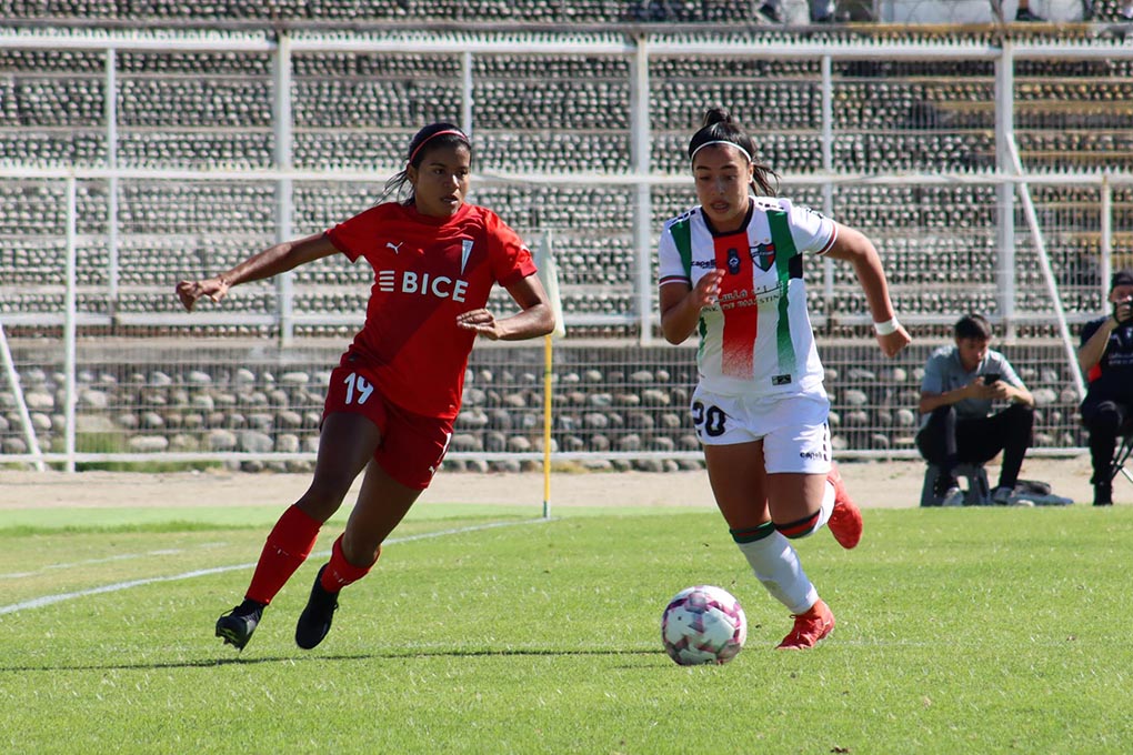 Reparto de puntos entre Palestino y Universidad Católica
