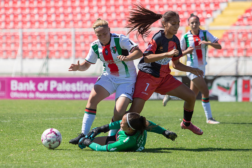 Reparto de puntos entre Palestino y Deportes Antofagasta