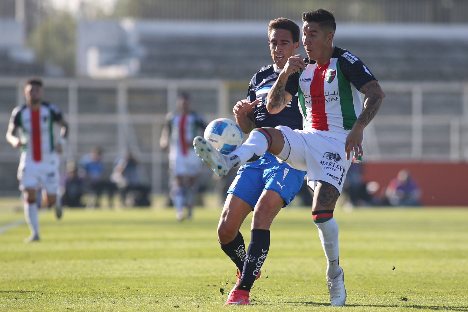 Jornada 13 | Primera División