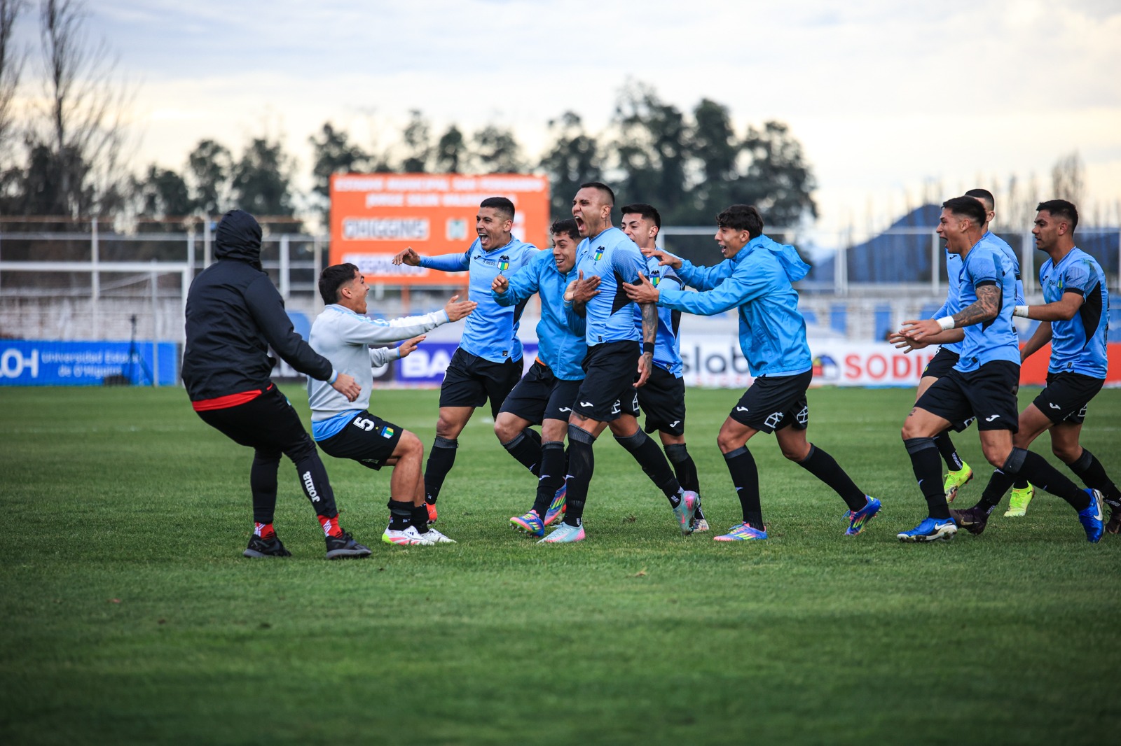 Jornada 14 | Primera División