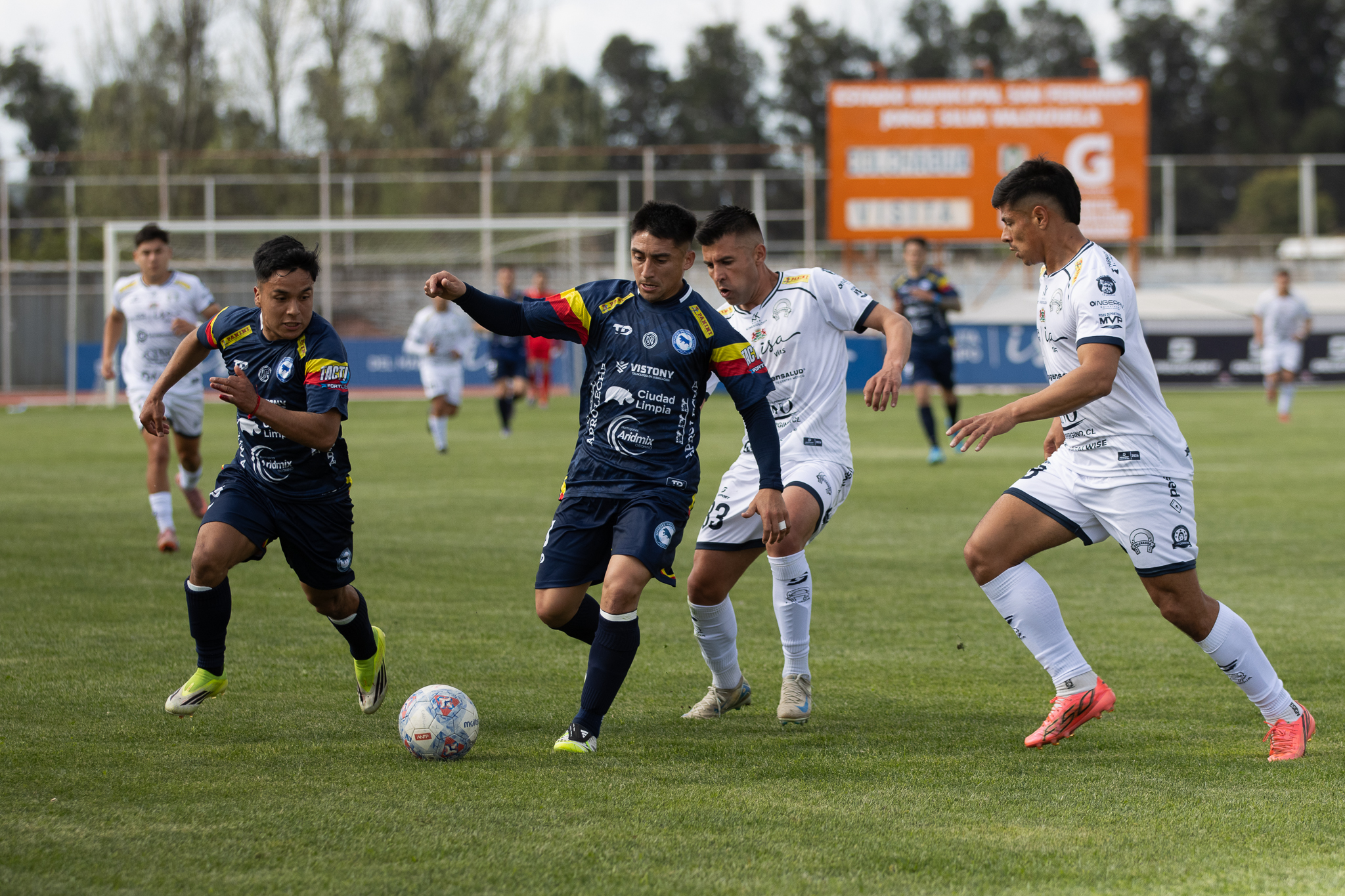 Colchagua festeja por primera vez en la liguilla